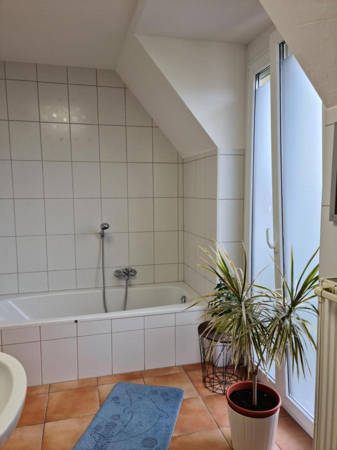 Apartmán Lichtdurchflutetes Zimmer - Marienberg Waldbuttelbrunn Exteriér fotografie